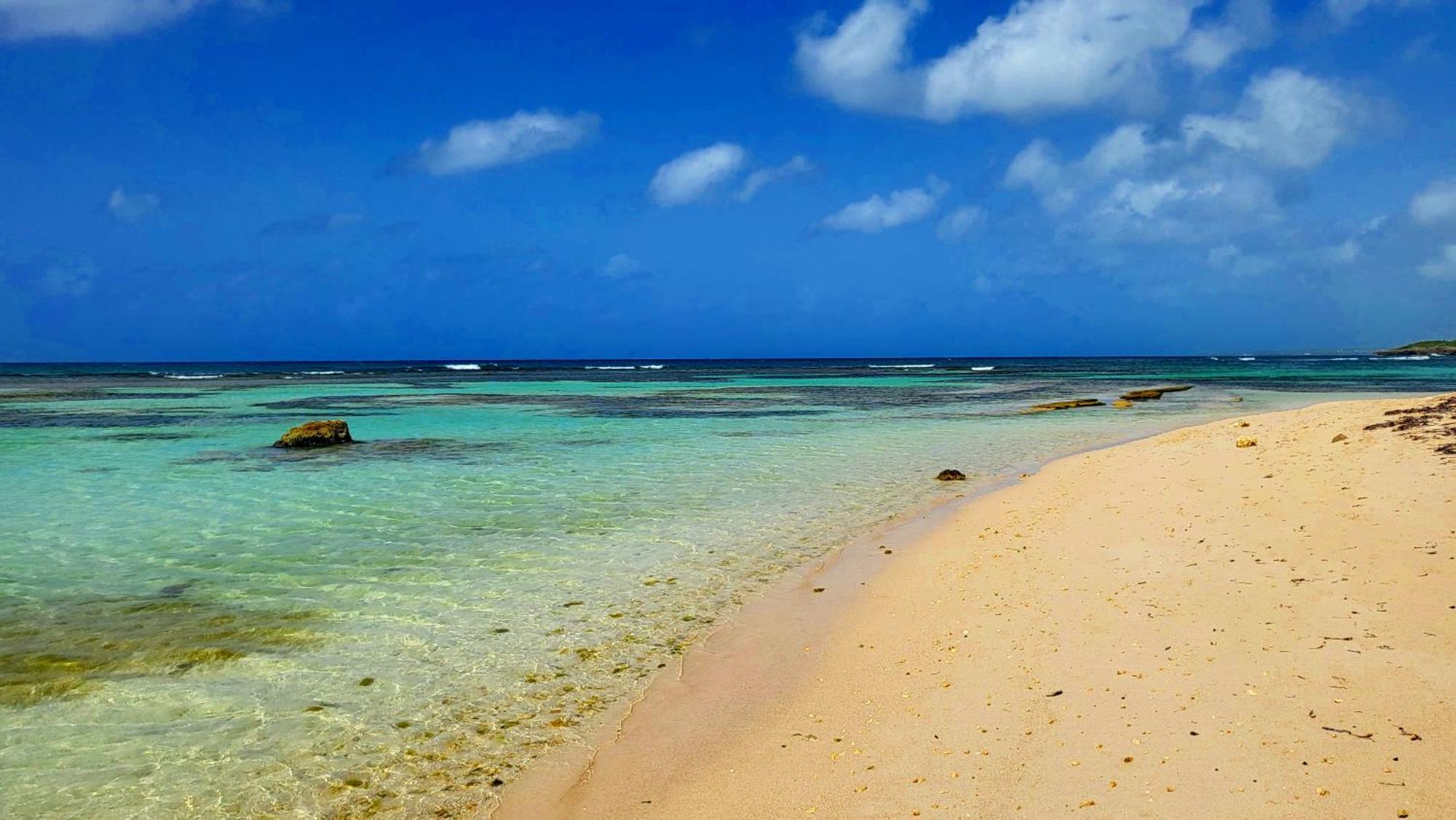 Kaz Lorike - Vue Mer & Piscine Exceptionnelle - Anse Des Rochers Saint-Francois  Eksteriør billede